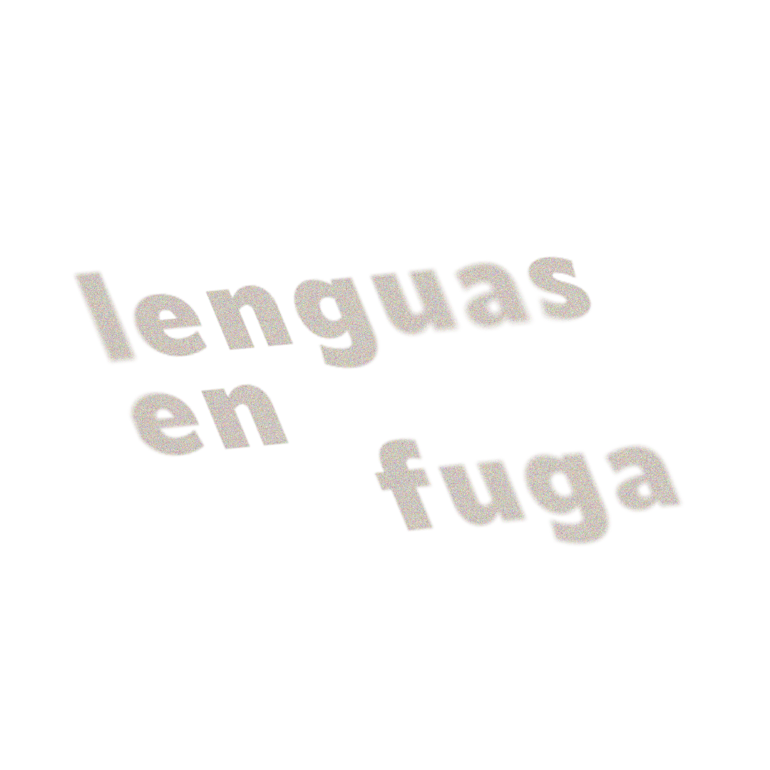 EXPERIENCIAS-LENGUAS